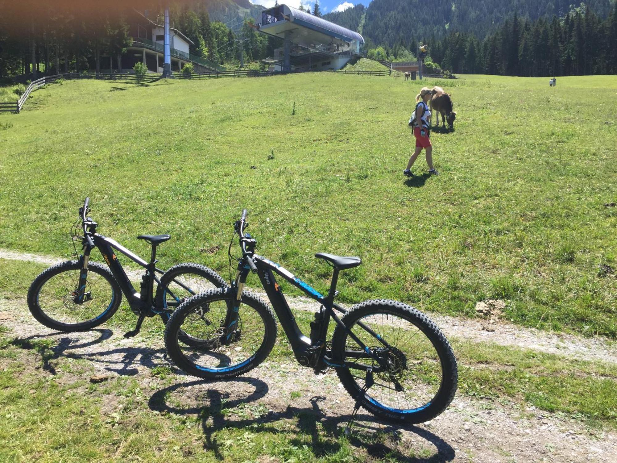 Hotel Alpin エールヴァルト エクステリア 写真